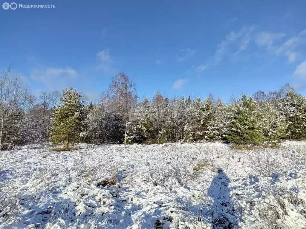 Участок в Угличский район, Слободское сельское поселение, деревня Палы ... - Фото 0