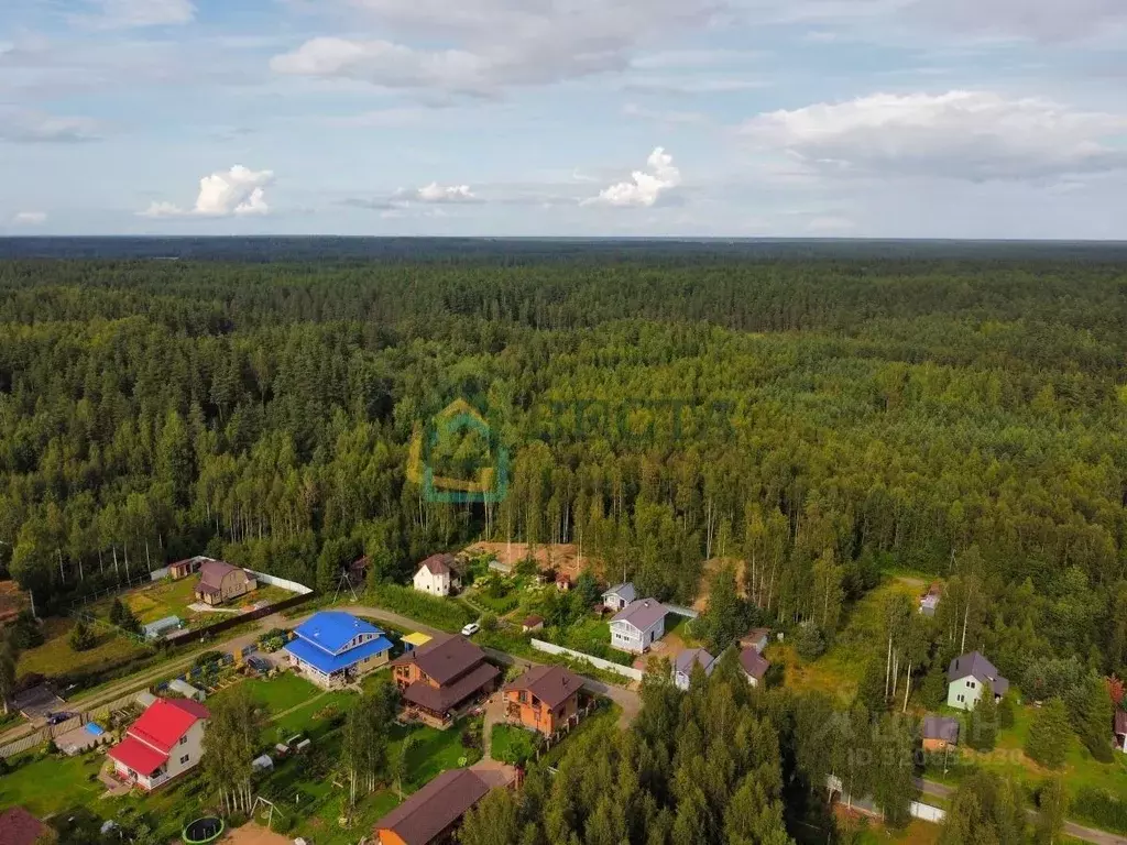Участок в Ленинградская область, Приозерский район, Сосновское с/пос, ... - Фото 1