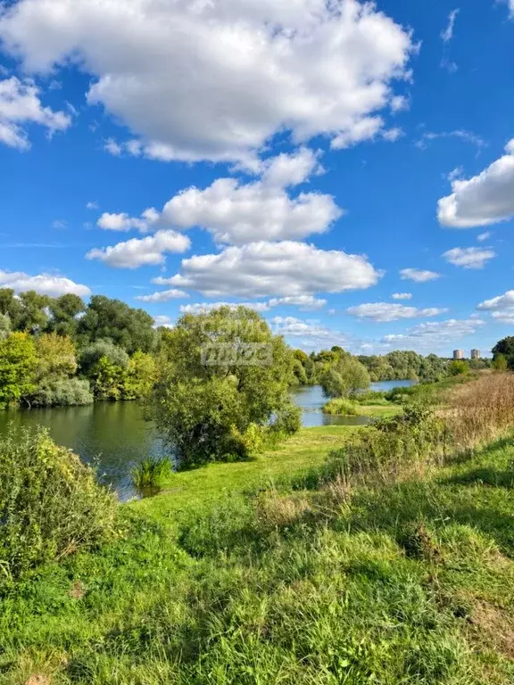 Дом в Московская область, Серпухов городской округ, д. Пущино 21 (25 ... - Фото 1