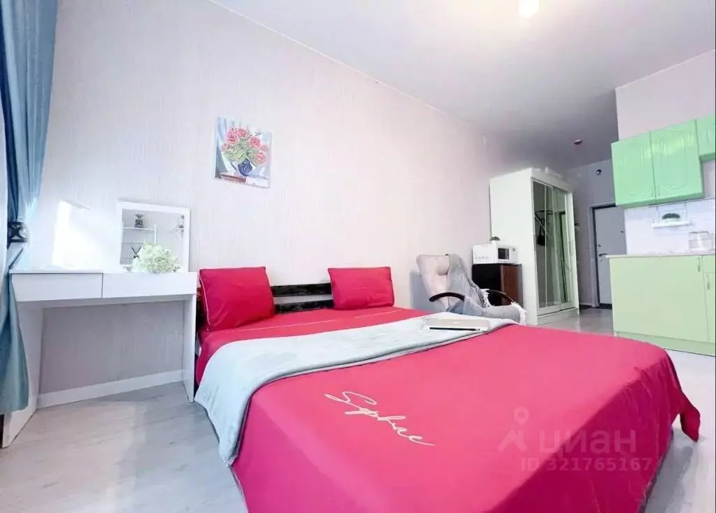 1-к кв. Санкт-Петербург Пулковское ш., 14с6 (28.0 м) - Фото 2