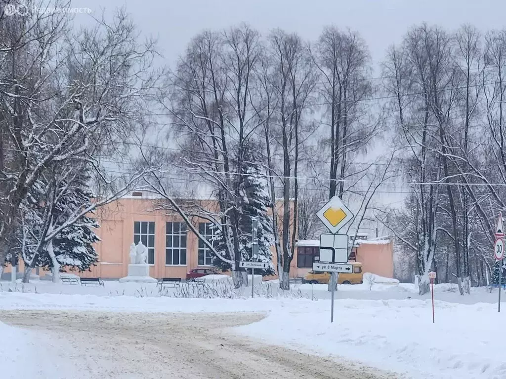 Участок в Костромской район, Кузьмищенское сельское поселение, деревня ... - Фото 2