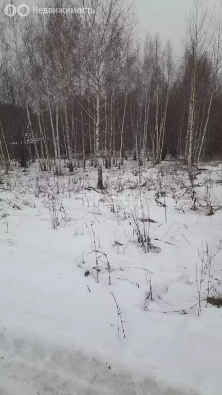 Участок в Нижегородская область, Кстовский муниципальный округ, село ... - Фото 1