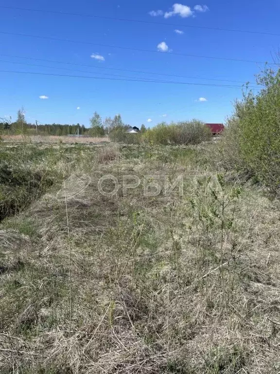 Участок в Тюменская область, Тюменский район, с. Червишево ул. 4-я ... - Фото 1