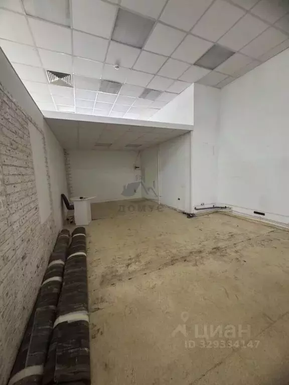 Торговая площадь в Московская область, Раменский муниципальный округ, ... - Фото 1