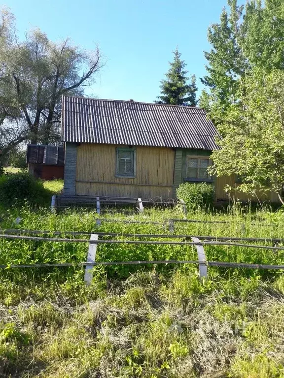 Лухново псковский район карта