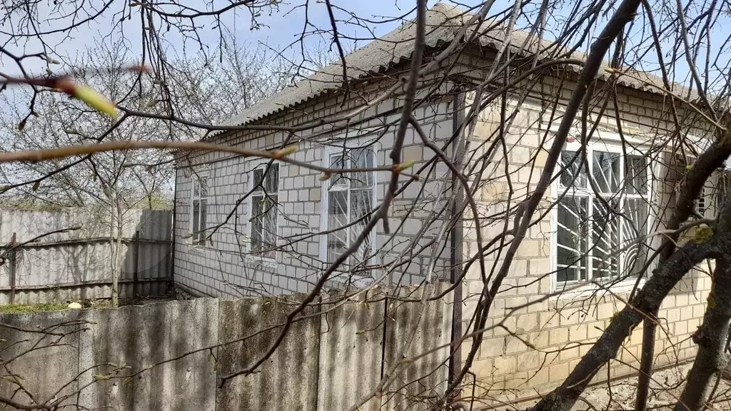 Свободного назначения, 61.9 м - Фото 1