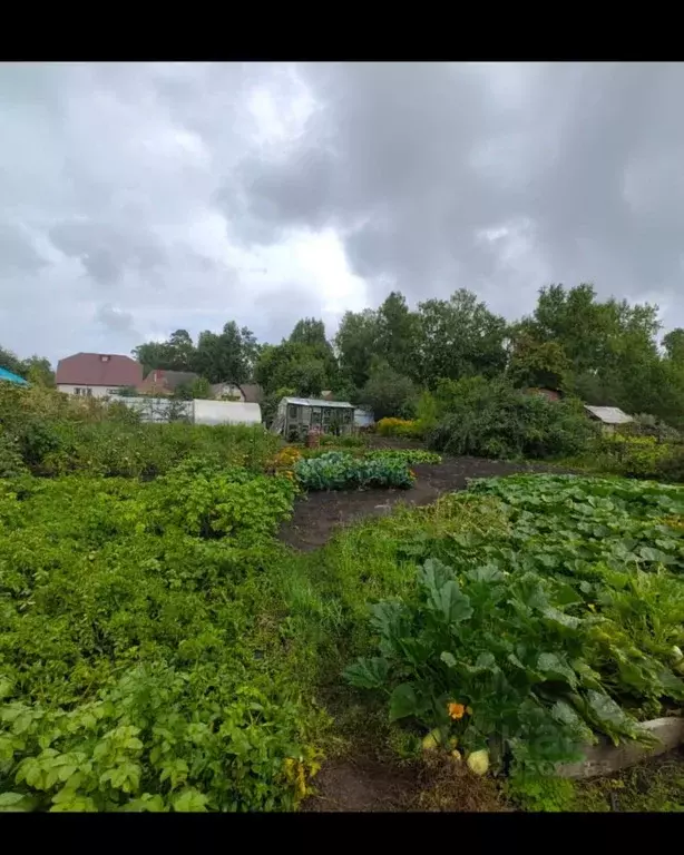 Дом в Алтайский край, Барнаул Яминский проезд (33 м) - Фото 1