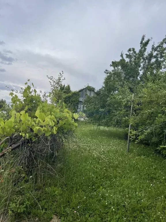 Участок в Нижегородская область, Нижний Новгород Луч с/пос, 13 (12.5 ... - Фото 2