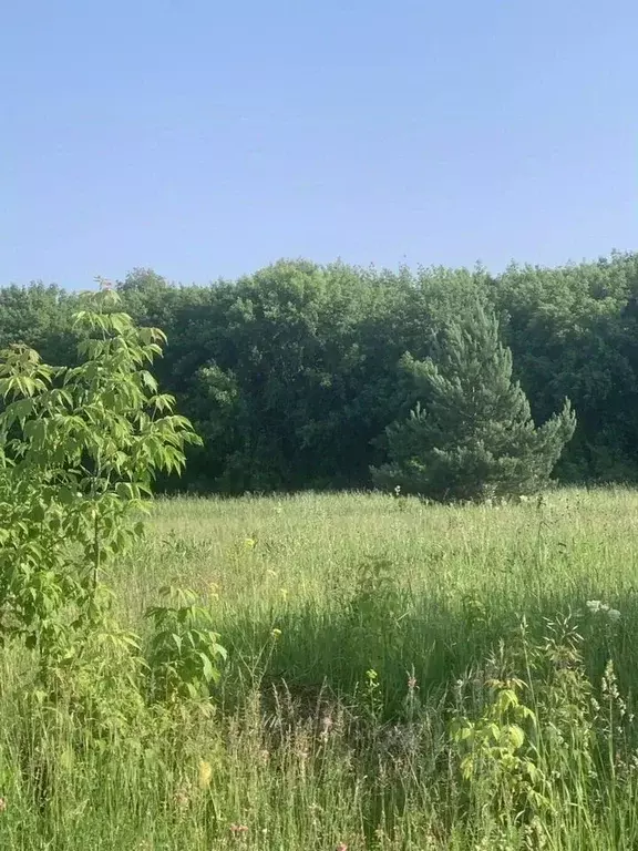 Участок в Новосибирская область, Бердск ул. Германа Титова (20.0 сот.) - Фото 0