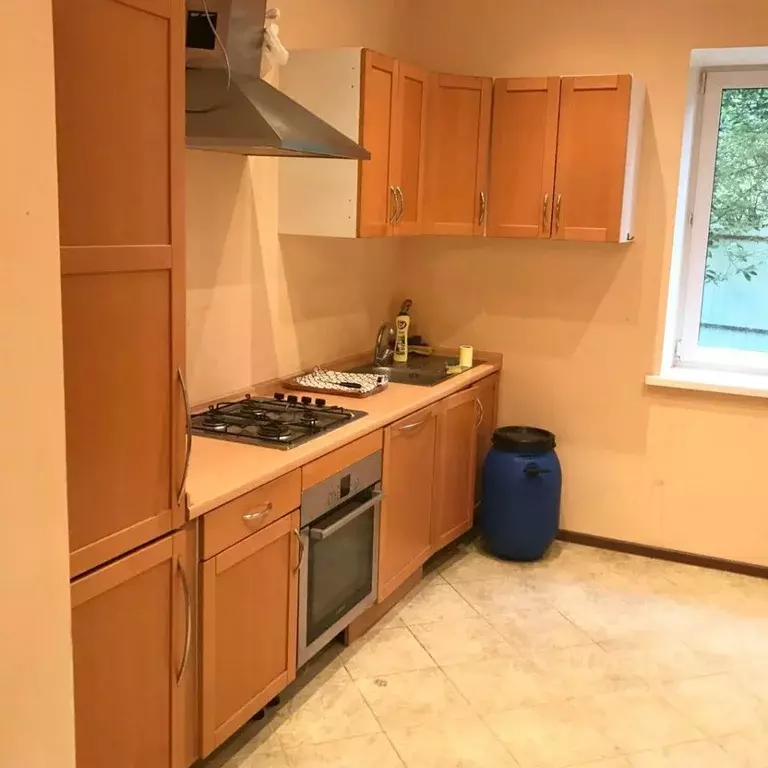 Дом в Московская область, Балашиха Салтыковка мкр, Серебрянка кв-л, ... - Фото 1