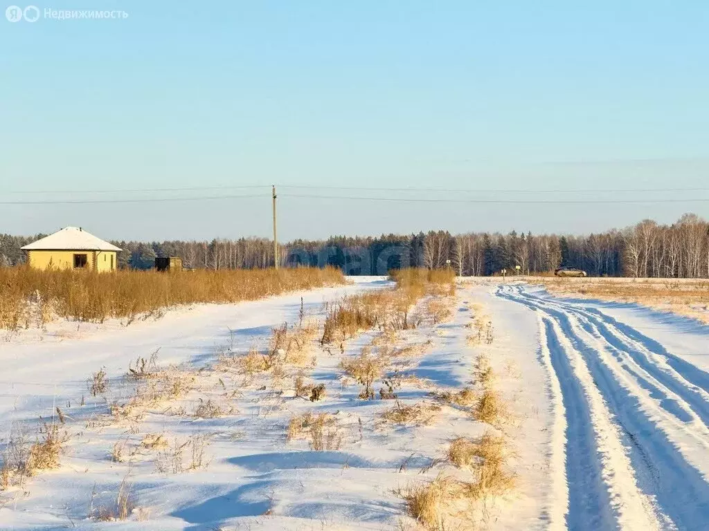 Участок в Тюменский район, село Каменка (11.36 м) - Фото 1