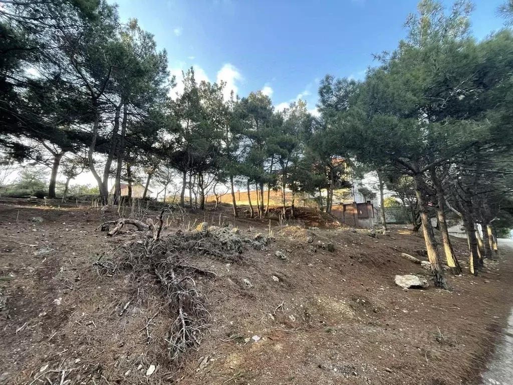 Участок в Севастополь Подводник ПКИЗ, ул. Черемуховая, 75 (7.8 сот.) - Фото 1