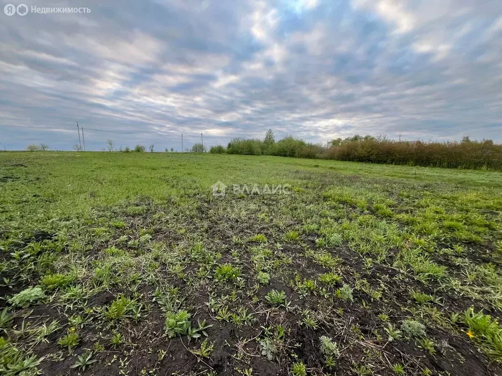 Участок в Пензенский район, Богословский сельсовет, село Малая ... - Фото 0
