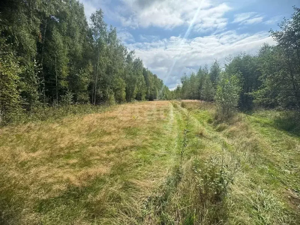 Участок в Костромская область, Красносельский район, Шолоховское ... - Фото 1