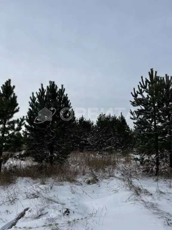 Участок в Тюменская область, Тюменский район, д. Речкина  (7.04 сот.) - Фото 0