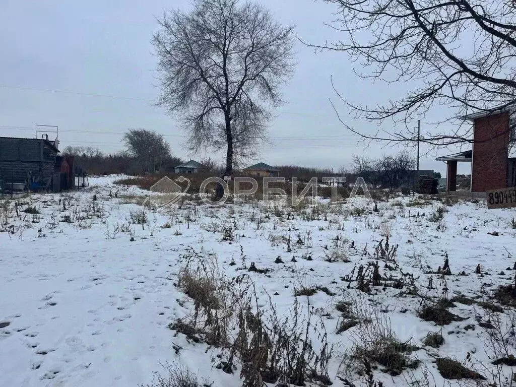 Участок в Тюменская область, Тюменский район, с. Луговое ул. Коклягина ... - Фото 0