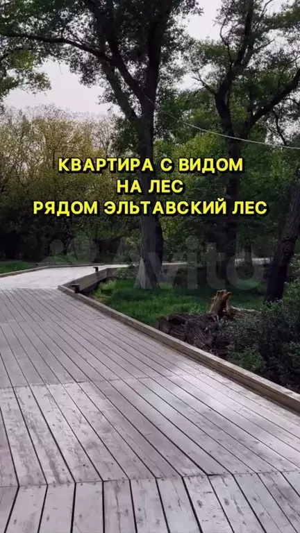 1-к. квартира, 60,7 м, 7/8 эт. - Фото 0