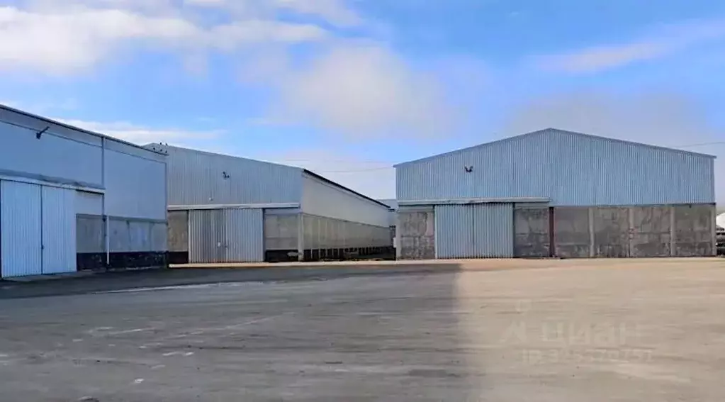 Производственное помещение в Краснодарский край, Темрюк ул. Анапское ... - Фото 2