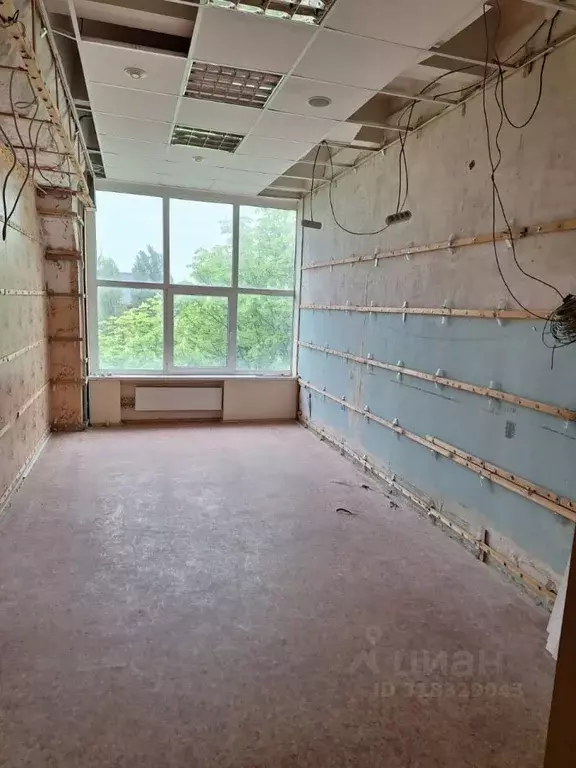 Офис в Белгородская область, Белгород ул. Королева, 2Ак3 (19 м) - Фото 0