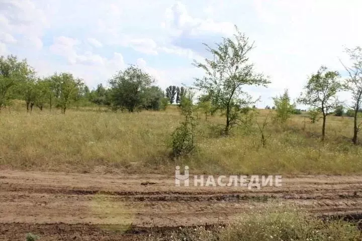 Участок в Ростовская область, Белая Калитва Верхняя ул. (10.0 сот.) - Фото 1