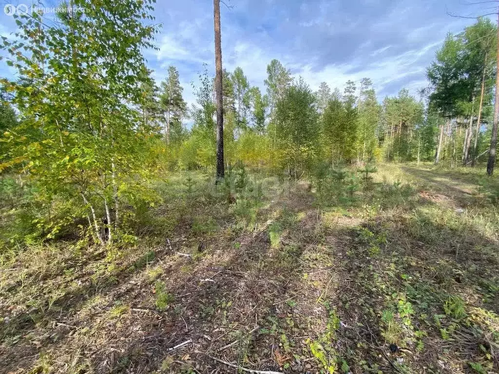 Участок в Читинский район, село Смоленка (6.4 м) - Фото 0