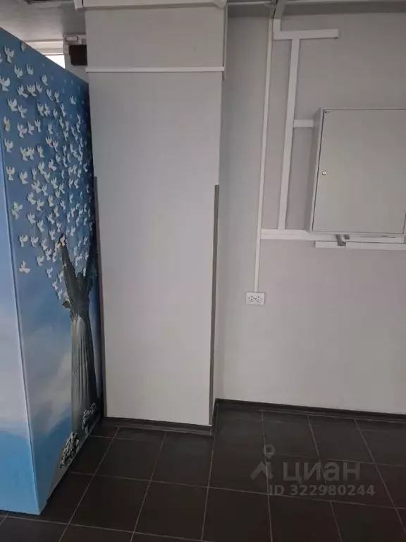 Помещение свободного назначения в Севастополь ул. Университетская, 31 ... - Фото 2