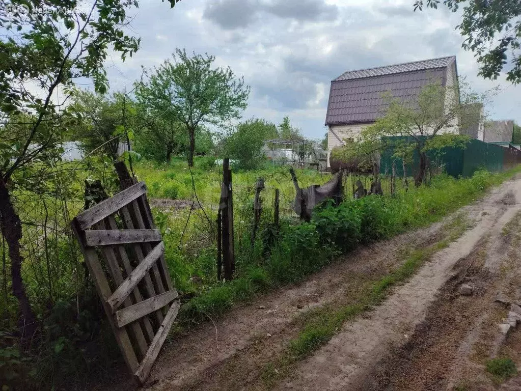 Участок в село Толмачево, СДТ Союз (5 м) - Фото 1