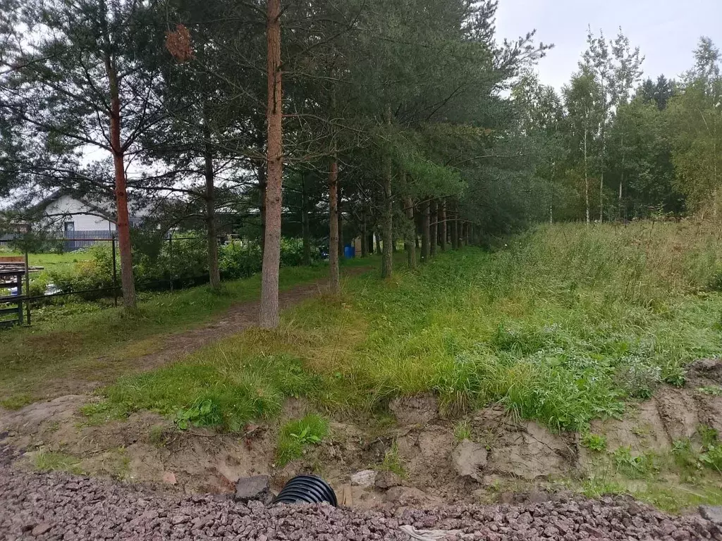 Участок в Ленинградская область, Тосненский район, Ульяновское ... - Фото 2