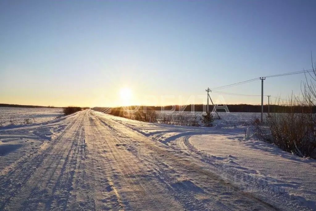 Участок в Тюменская область, Тюменский район, с. Кулига  (17.65 сот.) - Фото 0