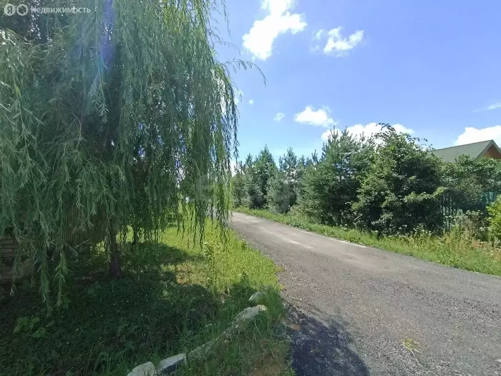 Участок в Московская область, Раменский муниципальный округ, ДНТ ... - Фото 2