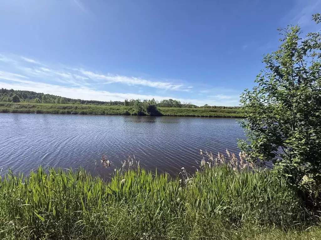 Участок в Тверская область, Конаковский муниципальный округ, д. ... - Фото 1