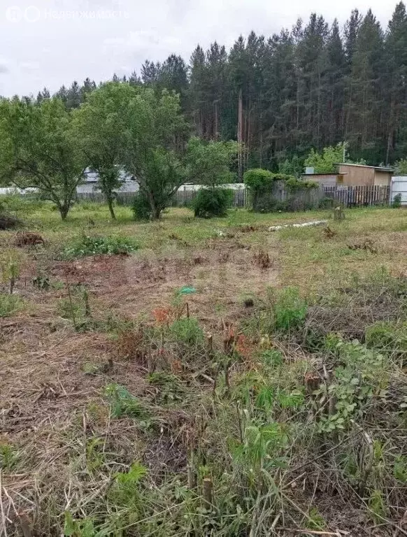 Участок в Владимирская область, Ковровский муниципальный округ, СНТ ... - Фото 2