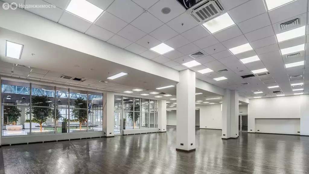 Офис (232.5 м) - Фото 2