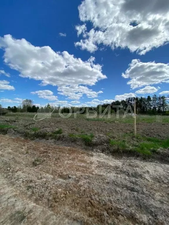 Участок в Тюменская область, Тюменский муниципальный округ, д. Большие ... - Фото 1