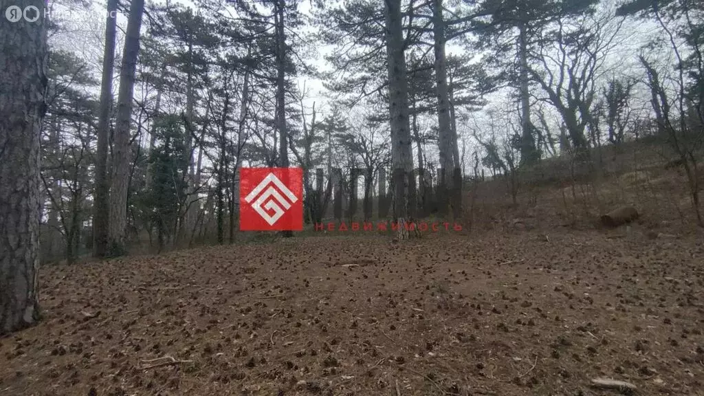 Участок в Республика Крым, муниципальный округ Ялта, посёлок ... - Фото 1