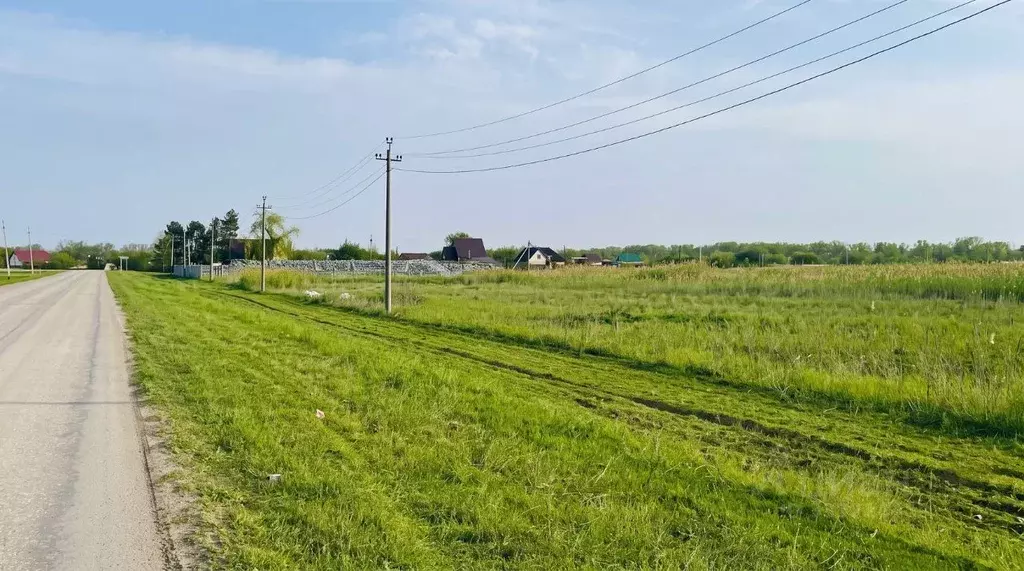 Участок в Волгоградская область, Среднеахтубинский район, Красное ... - Фото 1