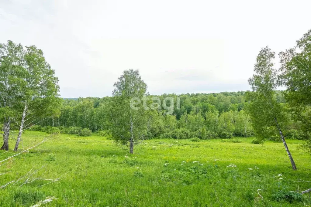 Участок в Новосибирская область, Новосибирский район, Барышевский ... - Фото 1