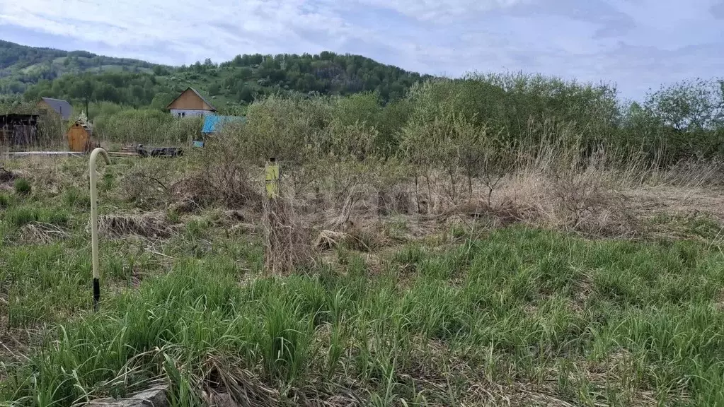 Участок в Алтай, Майминский район, с. Кызыл-Озек ул. Напалковой (10.2 ... - Фото 1