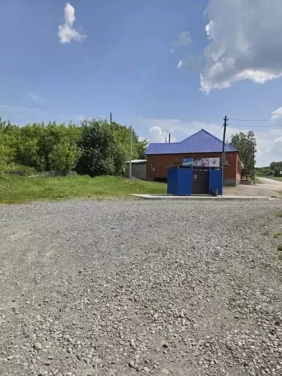Участок в Новосибирская область, Мошковский район, с. Дубровино ... - Фото 2