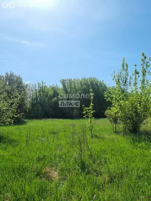 Дом в село Каширское, улица 9 Января, 59 (33.1 м) - Фото 1