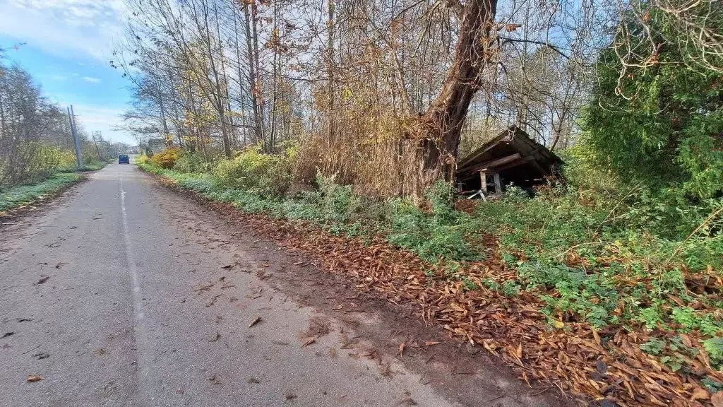 Участок в Калининградская область, Зеленоградский муниципальный округ, ... - Фото 1