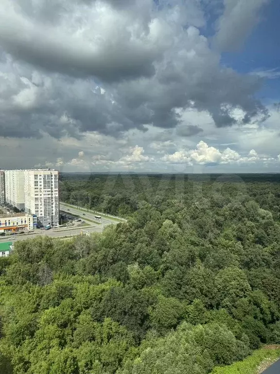 Квартира-студия, 23,2 м, 17/18 эт. - Фото 1