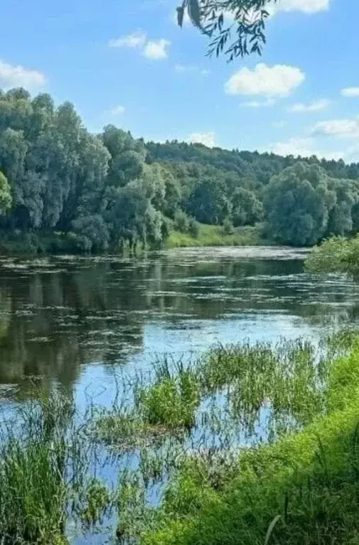 Участок в Московская область, Рузский муниципальный округ, с. ... - Фото 1