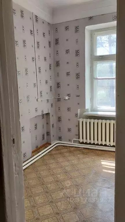 Помещение свободного назначения в Забайкальский край, Шилкинский ... - Фото 0