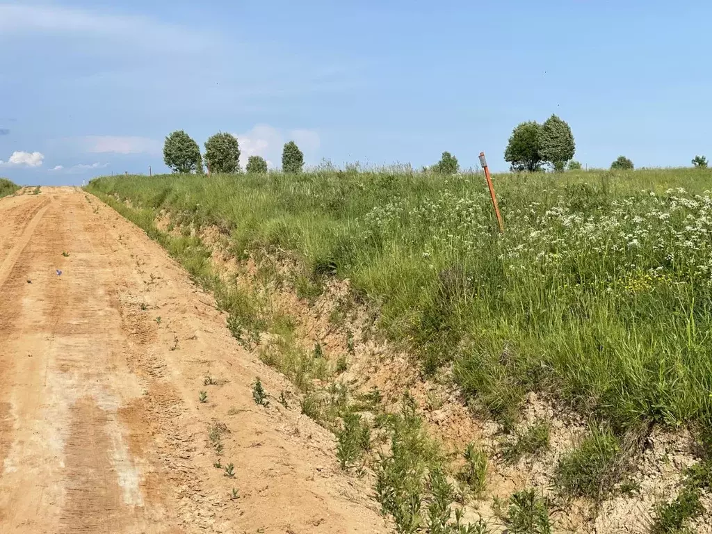 Участок в Московская область, Шаховская муниципальный округ, д. ... - Фото 1