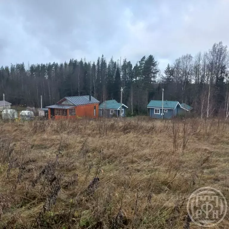 Участок в Ленинградская область, Приозерский район, Сосновское с/пос, ... - Фото 1