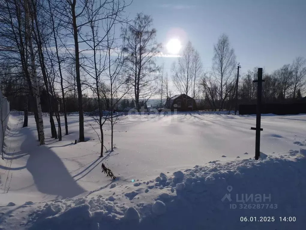 Участок в Новосибирская область, Мошковский район, с. Сокур  (9.0 ... - Фото 2