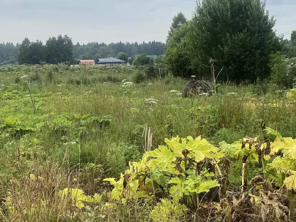 Участок в Московская область, Рузский муниципальный округ, д. Барынино ... - Фото 1