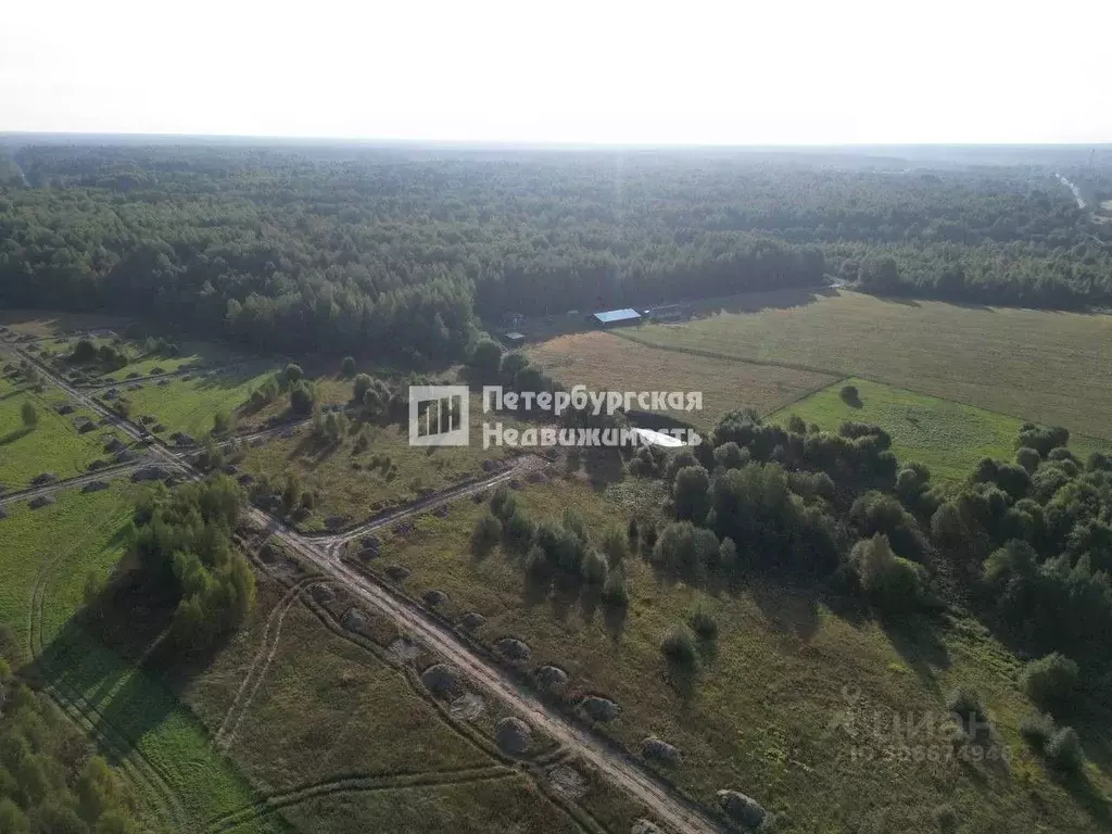 Участок в Ленинградская область, Кировский район, Мгинское городское ... - Фото 0