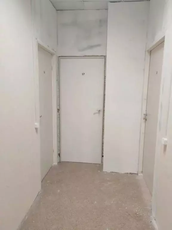 Офис в Новосибирская область, Новосибирск ул. Сибиряков-Гвардейцев, ... - Фото 2